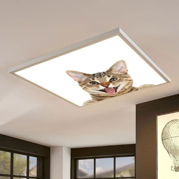 LED panel s motivem kočka 60x60cm 40W 4200lm  denní - náhled 2