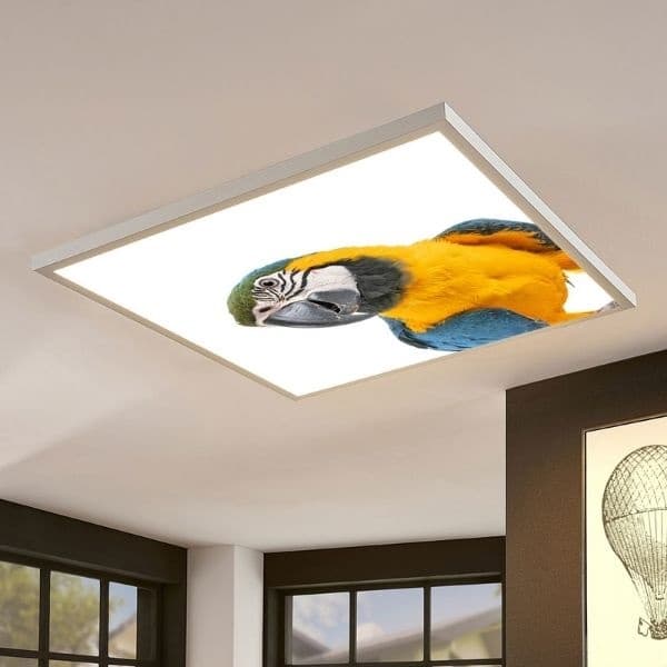 LED panel s motivem papoušek 60x60cm 40W 4200lm  denní - náhled 2