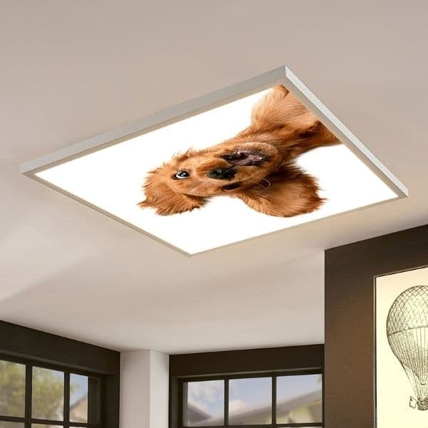 LED panel s motivem pes 60x60cm 40W 4200lm  denní - náhled 2