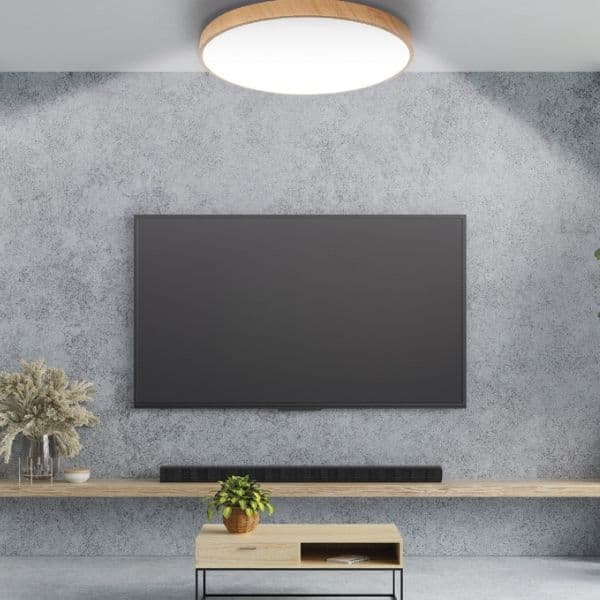 Prémiové LED stropní svítidlo Andra 34cm 24W 1875lm CCT, vzhled dřeva dálkové ovl., 3 roky - náhled 3